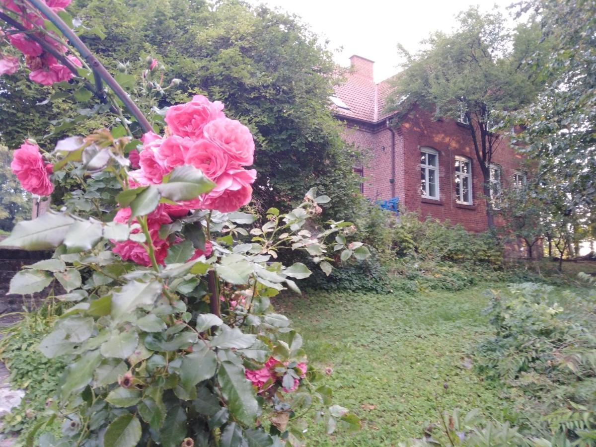 Alte Schule Am See Biskupiec  Eksteriør bilde