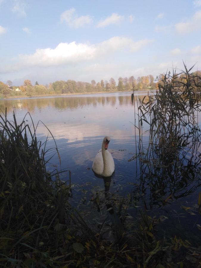 Alte Schule Am See Biskupiec  Eksteriør bilde